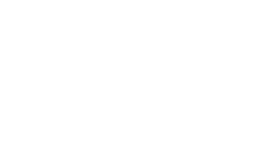 SKTNG animated logo - No AI No Algorithms. Just Humans.